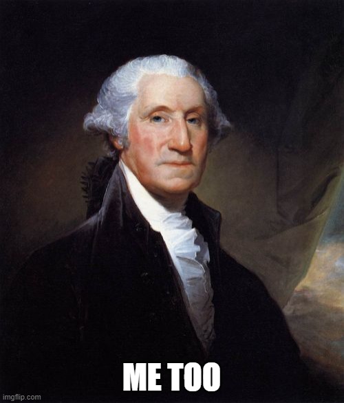 George Washington Meme | ME TOO | image tagged in memes,george washington | made w/ Imgflip meme maker