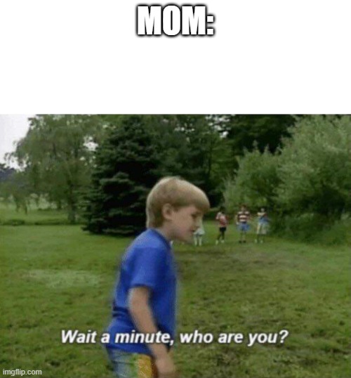 Wait a minute, who are you? | MOM: | image tagged in wait a minute who are you | made w/ Imgflip meme maker
