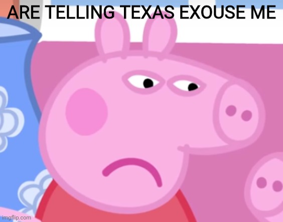 Angry Peppa Pig | ARE TELLING TEXAS EXOUSE ME | image tagged in angry peppa pig | made w/ Imgflip meme maker
