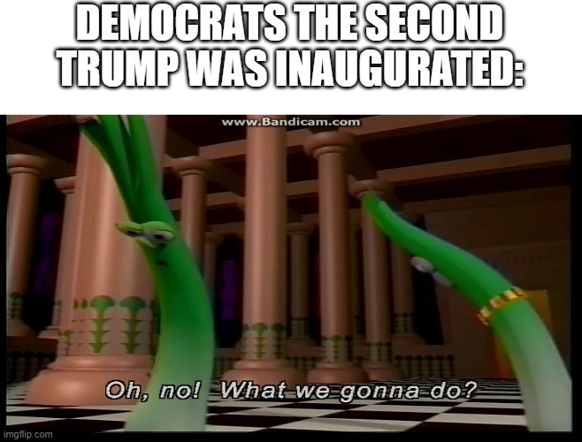 The electoral collage favored Donald Trump more than me and you | DEMOCRATS THE SECOND TRUMP WAS INAUGURATED: | image tagged in veggietales,donald trump,democrats | made w/ Imgflip meme maker
