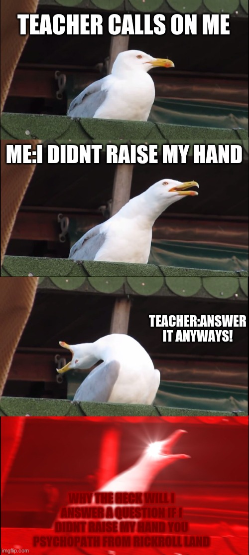 i dont want to answer the question dumb hooman '-' | TEACHER CALLS ON ME; ME:I DIDNT RAISE MY HAND; TEACHER:ANSWER IT ANYWAYS! WHY THE HECK WILL I ANSWER A QUESTION IF I DIDNT RAISE MY HAND YOU PSYCHOPATH FROM RICKROLL LAND | image tagged in memes,inhaling seagull | made w/ Imgflip meme maker