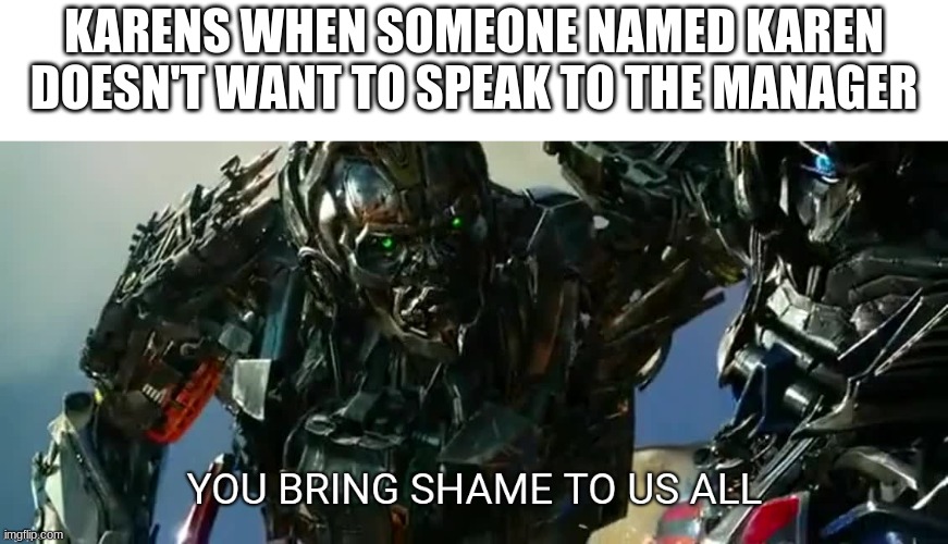 idk | KARENS WHEN SOMEONE NAMED KAREN DOESN'T WANT TO SPEAK TO THE MANAGER | image tagged in you bring shame to us all | made w/ Imgflip meme maker