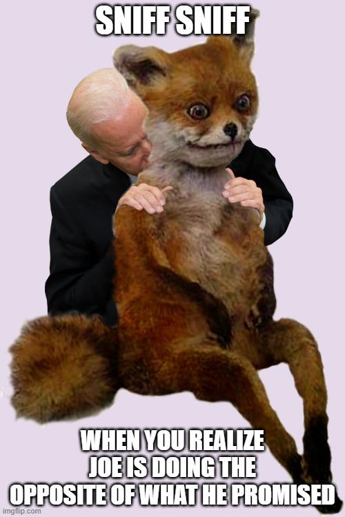 Sniffy Joe & The Fox | SNIFF SNIFF; WHEN YOU REALIZE JOE IS DOING THE OPPOSITE OF WHAT HE PROMISED | image tagged in sniffy joe the fox | made w/ Imgflip meme maker