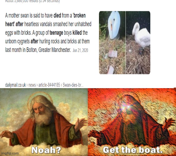 image tagged in noahget the boat,swans,unhatched eggs | made w/ Imgflip meme maker