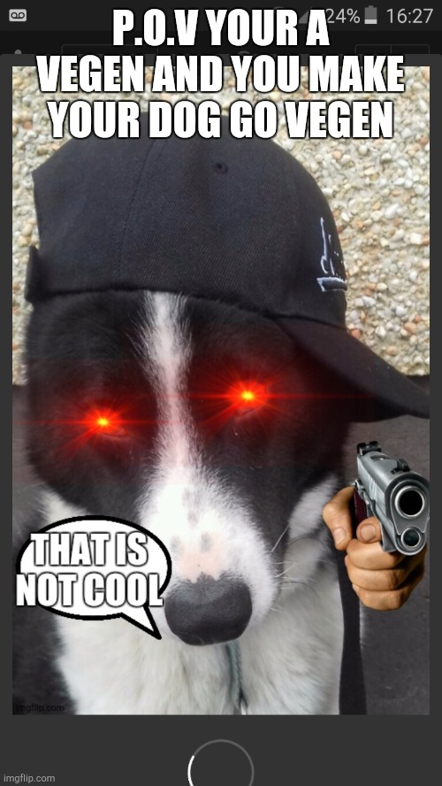 That is not cool | P.O.V YOUR A VEGEN AND YOU MAKE YOUR DOG GO VEGEN | image tagged in that is not cool | made w/ Imgflip meme maker