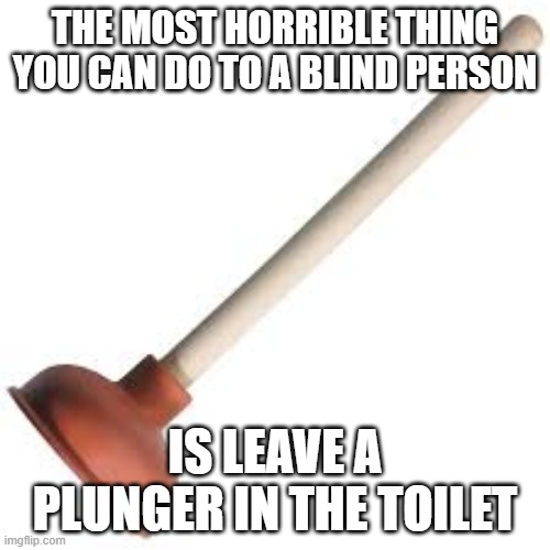 I Can SEE That Hurting | THE MOST HORRIBLE THING YOU CAN DO TO A BLIND PERSON; IS LEAVE A PLUNGER IN THE TOILET | image tagged in plunger | made w/ Imgflip meme maker