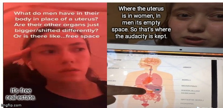 Audacity | Where the uterus is in women, In men its empty space. So that's where the audacity is kept. It's free real estate. | image tagged in funny | made w/ Imgflip meme maker