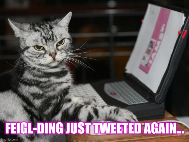 Annoyed Designer Cat | FEIGL-DING JUST TWEETED AGAIN... | image tagged in annoyed designer cat | made w/ Imgflip meme maker