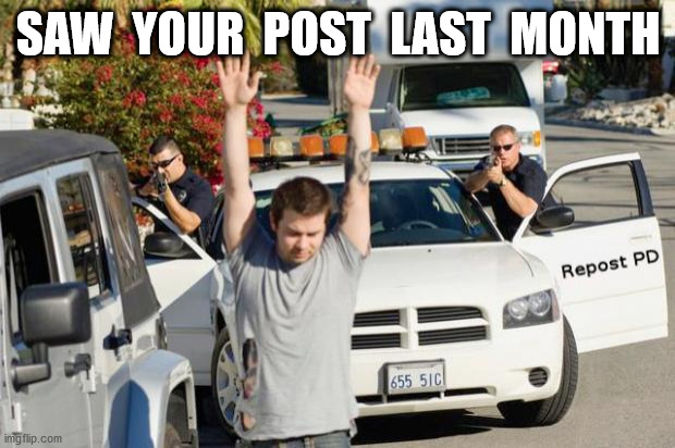 Repost Police | SAW  YOUR  POST  LAST  MONTH | image tagged in repost police | made w/ Imgflip meme maker