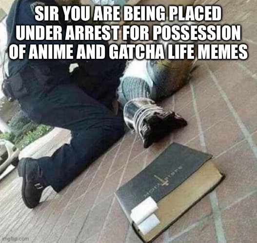 Arrested crusader reaching for book | SIR YOU ARE BEING PLACED UNDER ARREST FOR POSSESSION OF ANIME AND GATCHA LIFE MEMES | image tagged in arrested crusader reaching for book | made w/ Imgflip meme maker