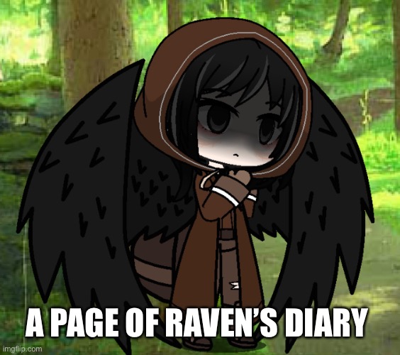 A PAGE OF RAVEN’S DIARY | made w/ Imgflip meme maker