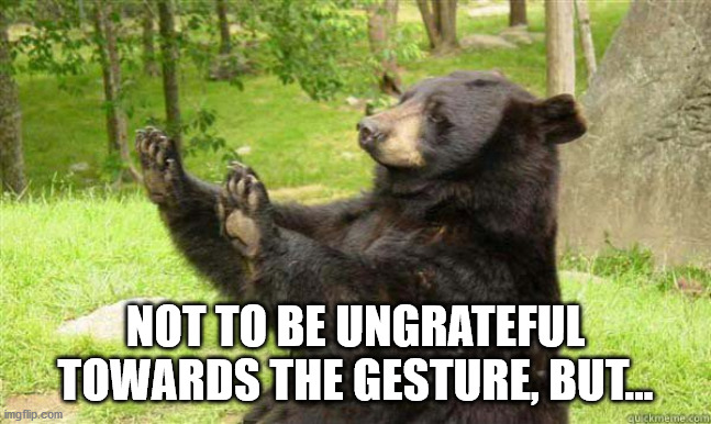 How about no bear | NOT TO BE UNGRATEFUL TOWARDS THE GESTURE, BUT... | image tagged in how about no bear | made w/ Imgflip meme maker