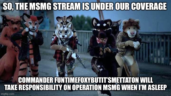 Good luck brethren |  SO, THE MSMG STREAM IS UNDER OUR COVERAGE; COMMANDER FUNTIMEFOXYBUTIT’SMETTATON WILL TAKE RESPONSIBILITY ON OPERATION MSMG WHEN I’M ASLEEP | image tagged in operation msmg watch | made w/ Imgflip meme maker