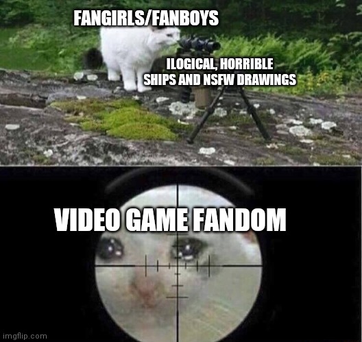 Happens every time, The cycle repeats | FANGIRLS/FANBOYS; ILOGICAL, HORRIBLE SHIPS AND NSFW DRAWINGS; VIDEO GAME FANDOM | image tagged in sniper cat | made w/ Imgflip meme maker
