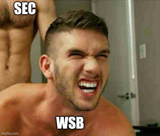 bearf gay | SEC; WSB | image tagged in bearf gay | made w/ Imgflip meme maker