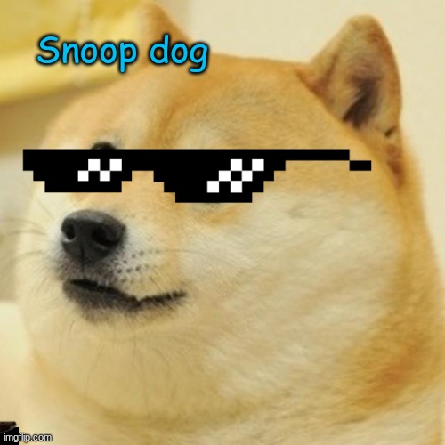 Doge Meme | Snoop dog | image tagged in memes,doge | made w/ Imgflip meme maker