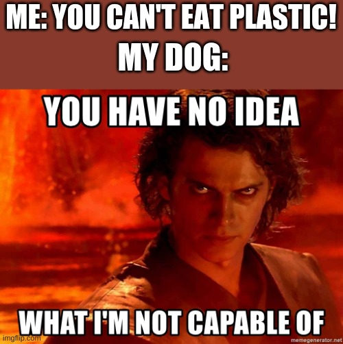 You have no idea what im capable of | ME: YOU CAN'T EAT PLASTIC! MY DOG: | image tagged in you have no idea what im capable of | made w/ Imgflip meme maker