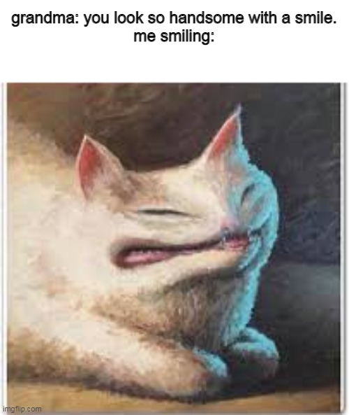 grandma: you look so handsome with a smile.
me smiling: | image tagged in memes,cat,funny | made w/ Imgflip meme maker