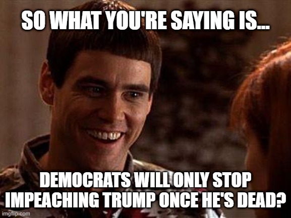 Dumb And Dumber | SO WHAT YOU'RE SAYING IS... DEMOCRATS WILL ONLY STOP IMPEACHING TRUMP ONCE HE'S DEAD? | image tagged in dumb and dumber | made w/ Imgflip meme maker