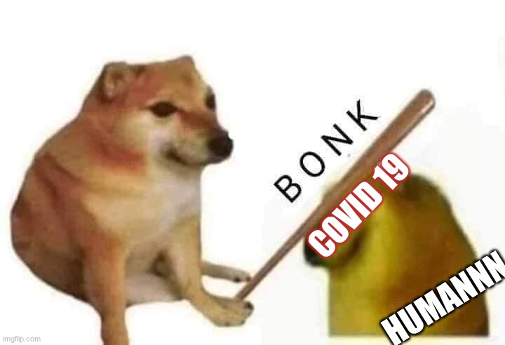 Doge bonk | COVID 19; HUMANNN | image tagged in doge bonk | made w/ Imgflip meme maker