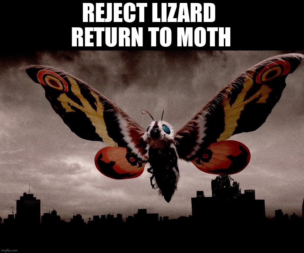 Mothra | REJECT LIZARD 

RETURN TO MOTH | image tagged in mothra | made w/ Imgflip meme maker