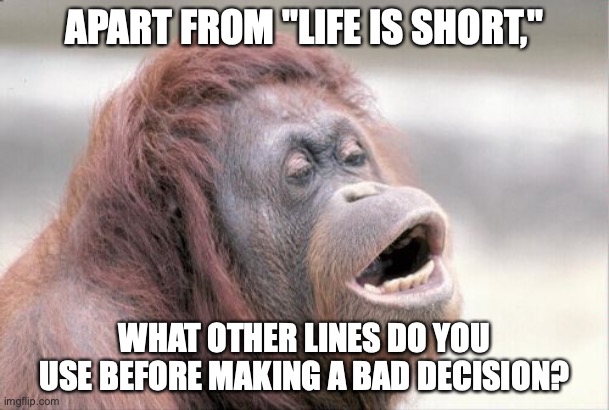 Monkey OOH |  APART FROM "LIFE IS SHORT,"; WHAT OTHER LINES DO YOU USE BEFORE MAKING A BAD DECISION? | image tagged in memes,monkey ooh | made w/ Imgflip meme maker