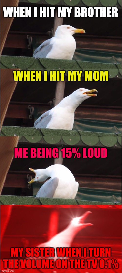 fun funny memes | WHEN I HIT MY BROTHER; WHEN I HIT MY MOM; ME BEING 15% LOUD; MY SISTER WHEN I TURN THE VOLUME ON THE TV 0.1% | image tagged in memes,inhaling seagull,funny,relatable | made w/ Imgflip meme maker