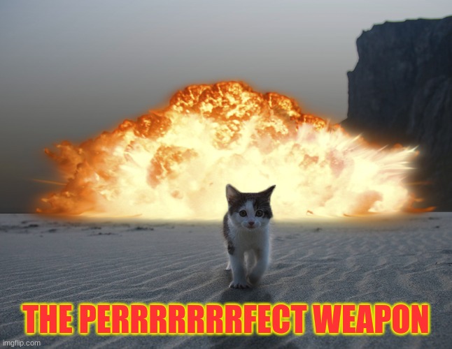 THE PERRRRRRRFECT WEAPON | made w/ Imgflip meme maker