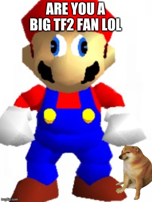 Mairo | ARE YOU A BIG TF2 FAN LOL | image tagged in mairo | made w/ Imgflip meme maker