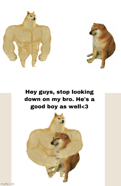 image tagged in memes,buff doge vs cheems | made w/ Imgflip meme maker