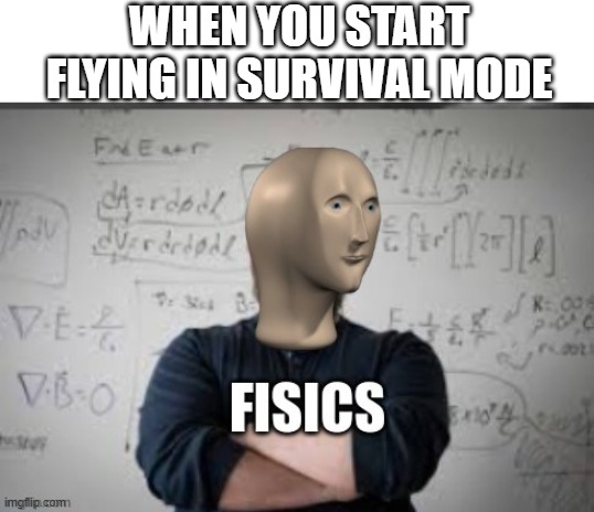 :o | WHEN YOU START FLYING IN SURVIVAL MODE | image tagged in fisics,minecraft,survival | made w/ Imgflip meme maker