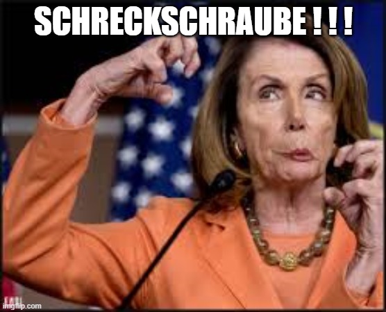 Crazy Nancy Pelosi | SCHRECKSCHRAUBE ! ! ! | image tagged in crazy nancy pelosi | made w/ Imgflip meme maker