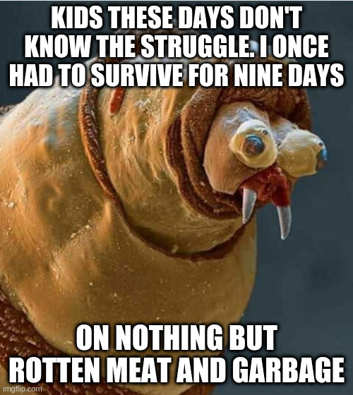 sometimes you gotta eat what's available | KIDS THESE DAYS DON'T KNOW THE STRUGGLE. I ONCE HAD TO SURVIVE FOR NINE DAYS; ON NOTHING BUT ROTTEN MEAT AND GARBAGE | image tagged in maggot,ptsd,funny,hunger,survival | made w/ Imgflip meme maker
