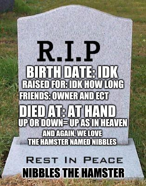 RIP headstone | BIRTH DATE: IDK NIBBLES THE HAMSTER RAISED FOR: IDK HOW LONG FRIENDS: OWNER AND ECT DIED AT: AT HAND UP OR DOWN= UP AS IN HEAVEN AND AGAIN,  | image tagged in rip headstone | made w/ Imgflip meme maker