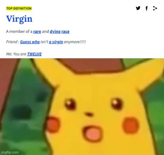 that about sums it up | image tagged in memes,funny,virgin,surprised pikachu,urban dictionary | made w/ Imgflip meme maker