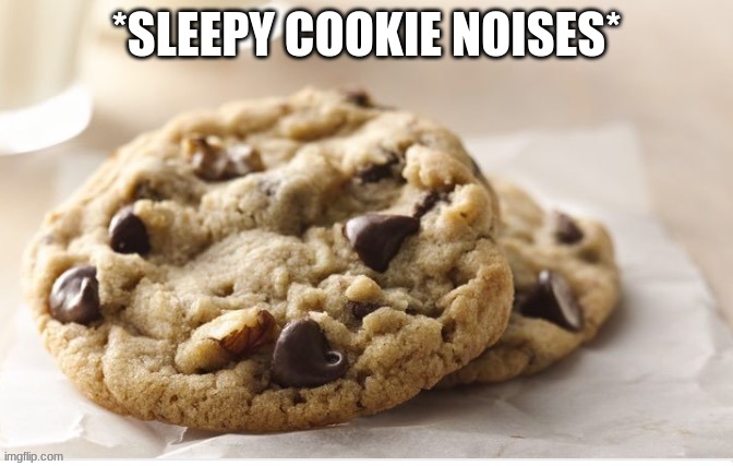 good night | *SLEEPY COOKIE NOISES* | image tagged in gn,good night | made w/ Imgflip meme maker