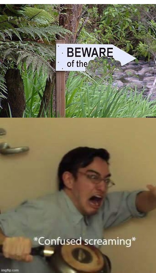 Beware of the what?! | image tagged in filthy frank confused scream | made w/ Imgflip meme maker