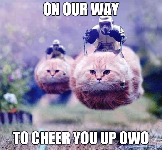 OwO what Cats do : | ON OUR WAY; TO CHEER YOU UP OWO | image tagged in storm trooper cats | made w/ Imgflip meme maker