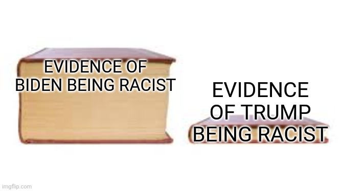 #JustSayin | EVIDENCE OF BIDEN BEING RACIST; EVIDENCE OF TRUMP BEING RACIST | image tagged in big book small book | made w/ Imgflip meme maker
