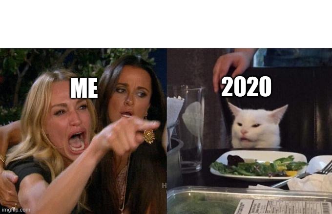 Woman Yelling At Cat Meme | 2020; ME | image tagged in memes,woman yelling at cat | made w/ Imgflip meme maker