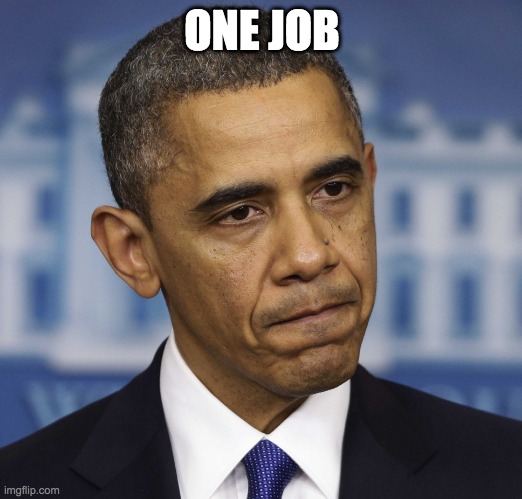 You had one job | ONE JOB | image tagged in you had one job | made w/ Imgflip meme maker