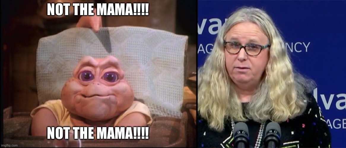 NOT THE MAMA!!!! NOT THE MAMA!!!! | image tagged in not the mama,rachel levine | made w/ Imgflip meme maker