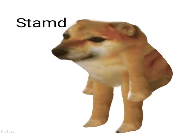 stamd | image tagged in cheems | made w/ Imgflip meme maker