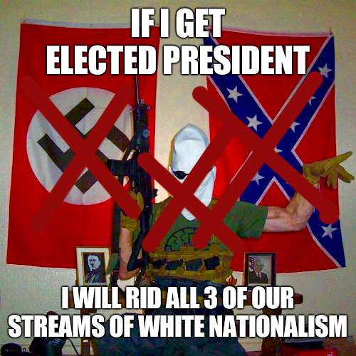 Wubbzymon for president for no more white nationalists | IF I GET ELECTED PRESIDENT; I WILL RID ALL 3 OF OUR STREAMS OF WHITE NATIONALISM | image tagged in m00n_man exe,white nationalism | made w/ Imgflip meme maker