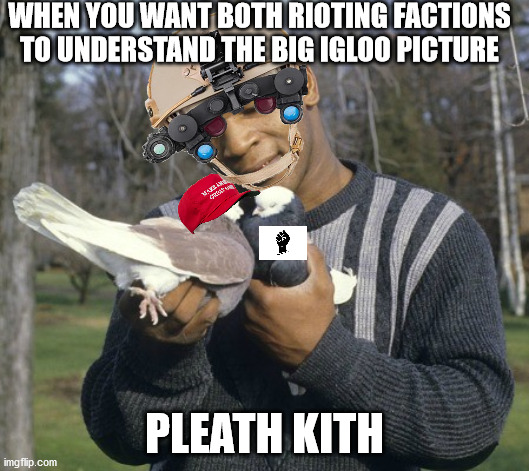 big igloo tyson | WHEN YOU WANT BOTH RIOTING FACTIONS TO UNDERSTAND THE BIG IGLOO PICTURE; PLEATH KITH | image tagged in mike tyson | made w/ Imgflip meme maker