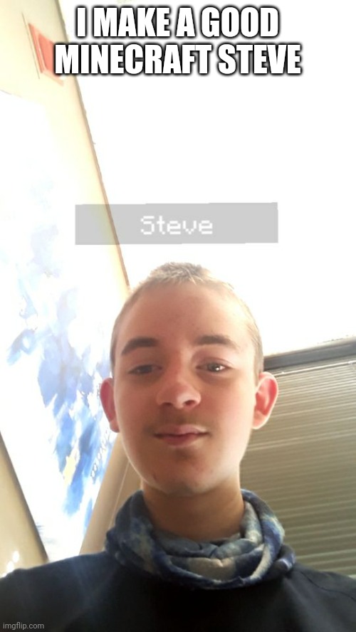 Damn i make a good Steve btw any1 like my cut G's | I MAKE A GOOD MINECRAFT STEVE | made w/ Imgflip meme maker