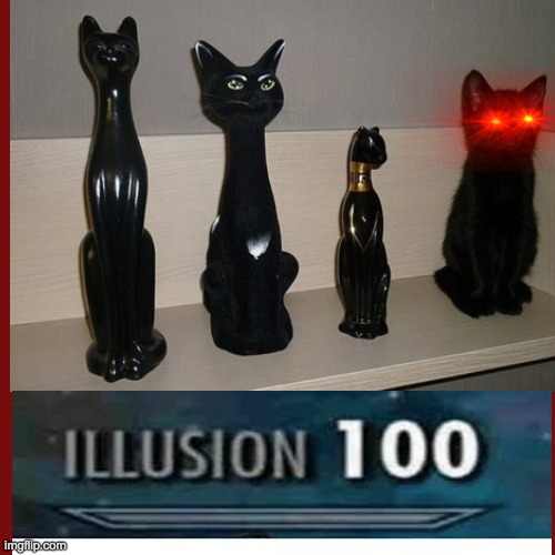 illusion 100 | image tagged in black cat,illusion 100,cat memes | made w/ Imgflip meme maker