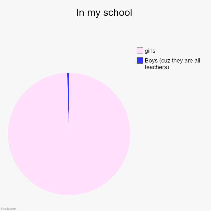 In my school | Boys (cuz they are all teachers), girls | image tagged in charts,pie charts | made w/ Imgflip chart maker