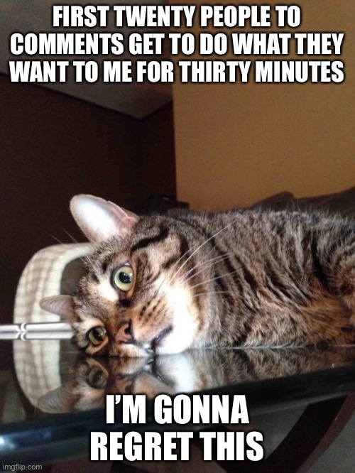 No horny shit please | FIRST TWENTY PEOPLE TO COMMENTS GET TO DO WHAT THEY WANT TO ME FOR THIRTY MINUTES; I’M GONNA REGRET THIS | image tagged in existential crisis cat | made w/ Imgflip meme maker