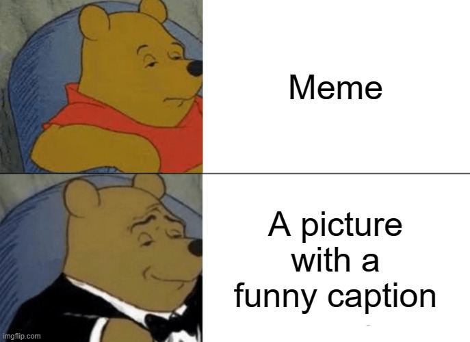 meme | Meme; A picture with a funny caption | image tagged in memes,tuxedo winnie the pooh | made w/ Imgflip meme maker